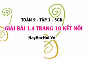 Bài 1.4 trang 10 Toán 9 tập 1 Kết nối tri thức SGK: Hệ Phương Trình Bậc Nhất Hai Ẩn